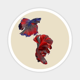 red ruby ornamental fish Magnet